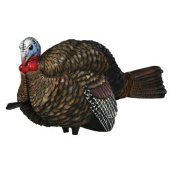 Avian-X Turkey Decoy LCD Half Strut Jake AVX8012