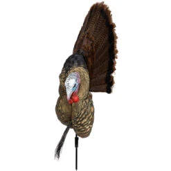 Avian-X Turkey Decoy Trophy Tom 2D AVX8021 -Hunting Shop AvianX 08021 Avian X Turkey Decoy Trophy Tom AVX8021 Left Side