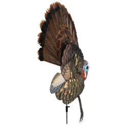 Hunting Shop -Hunting Shop AvianX 08021 Avian X Turkey Decoy Trophy Tom AVX8021 Side